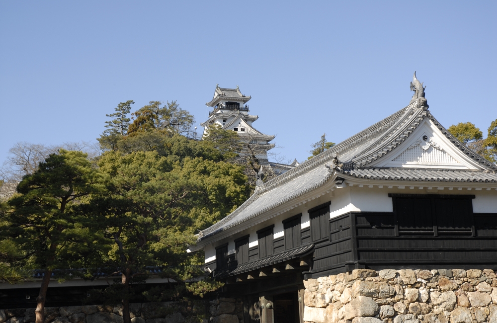 高知城跡(詳細).jpg