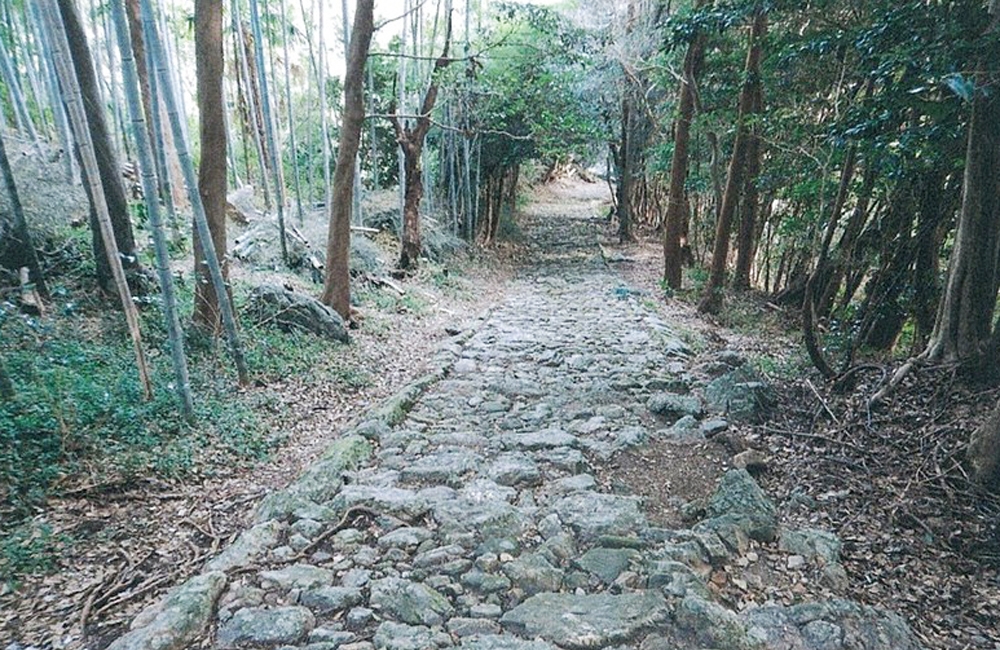 竹林寺道2.jpg