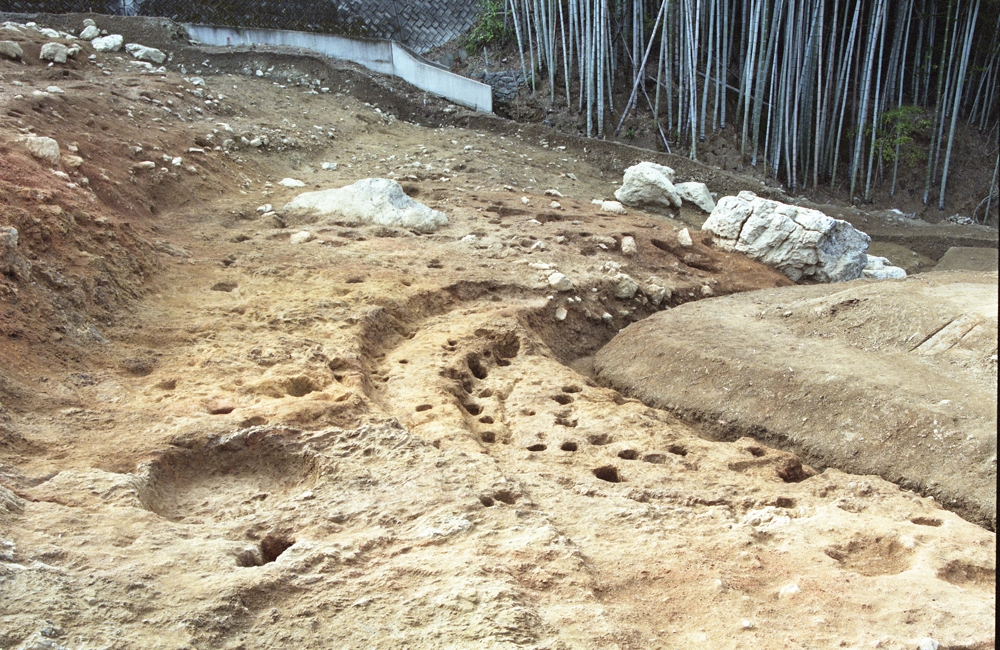 07_考古学研究の世界②(バーガ森北斜面遺跡).jpg